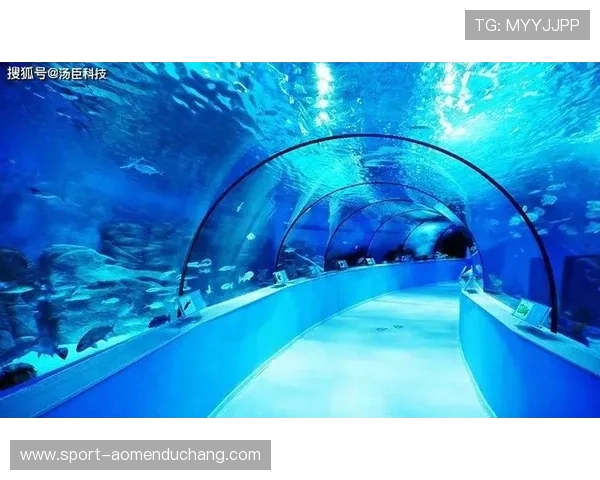 海洋之神百家乐：畅享海底世界的刺激与激情体验